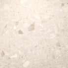 Carrelage Terrazzo Pleine Masse Beige Travertino 60x60 avec éclats de marbre.